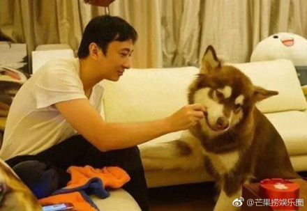 王思聪的狗王可可是什么品种?真正答案来了(王思聪的狗是纯种的吗) 王思聪的狗王可可是什么品种?真正答案来了(王思聪的狗是纯种的吗)