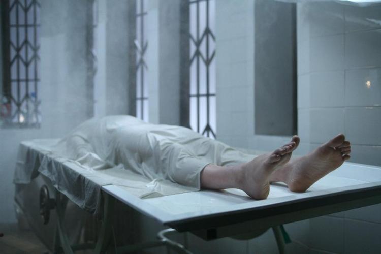 金泰宇妻子，权相宇和权相佑是一个(权相宇儿子和女儿)