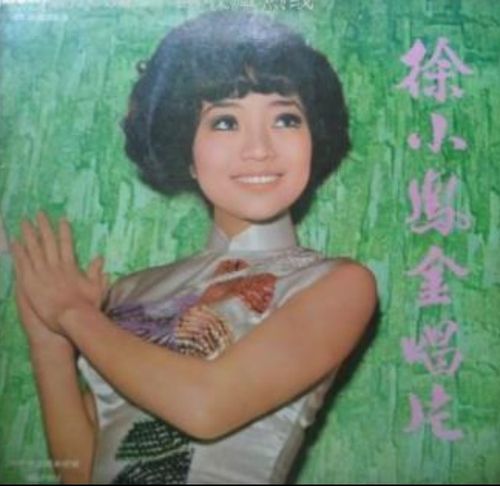 凤飞飞照片，凤飞飞简历个人资料简(凤飞飞是哪里人)