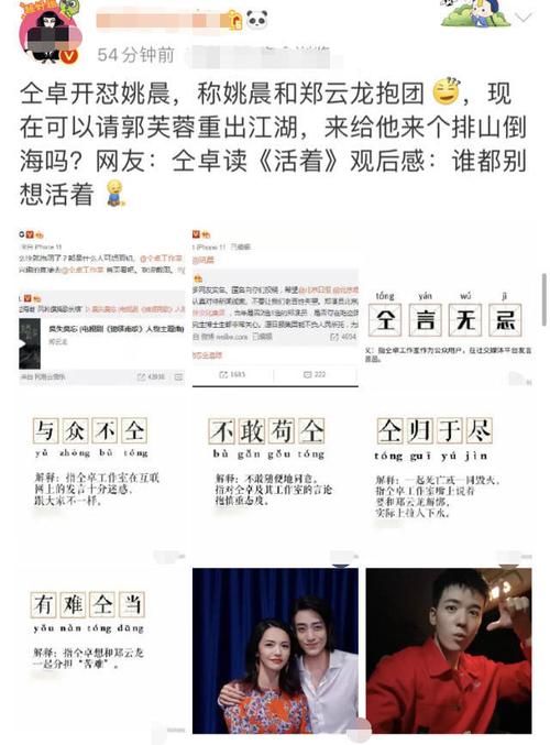 姚晨恶之花,恶之花是什么意思(恶之花 姚晨是什么意思)