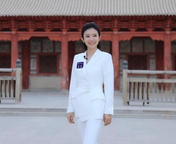 蔡紫主持人，新闻主持人名单大全(央视主持人蔡紫主持的节目)