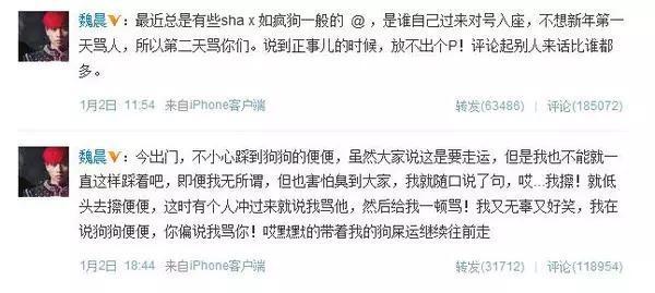 权志龙骂魏晨,众明星对魏晨的评价(魏晨的为什么)