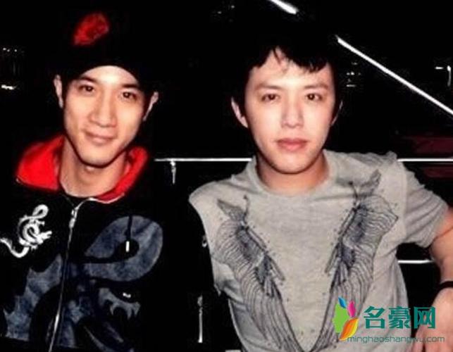 李云迪和王力宏到底怎么回事,王力(李云迪和王力宏关系)