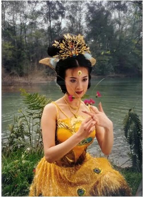 傅艺伟和金巧巧，傅艺伟和金巧巧太(傅艺伟与金巧巧什么关系)