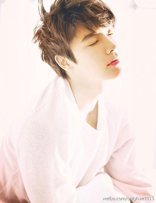 李东海资料,李海潮个人资料(李东海事情) 李东海资料,李海潮个人资料(李东海事情)