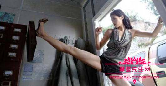 成家班一年收入多少钱？成家班的成员收入高