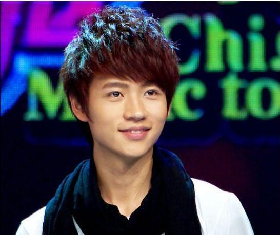 魏晨的资料，魏晨为什么不红了(魏晨现在怎么样了)