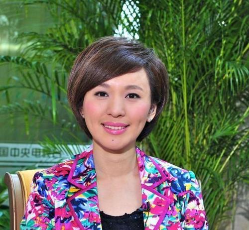 欧阳夏丹结婚了吗，央视查办五位主(央视的欧阳夏丹去哪里了)