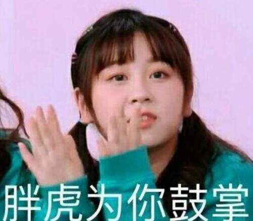 高秋梓为什么叫胖虎？高秋梓有点像杨紫对比