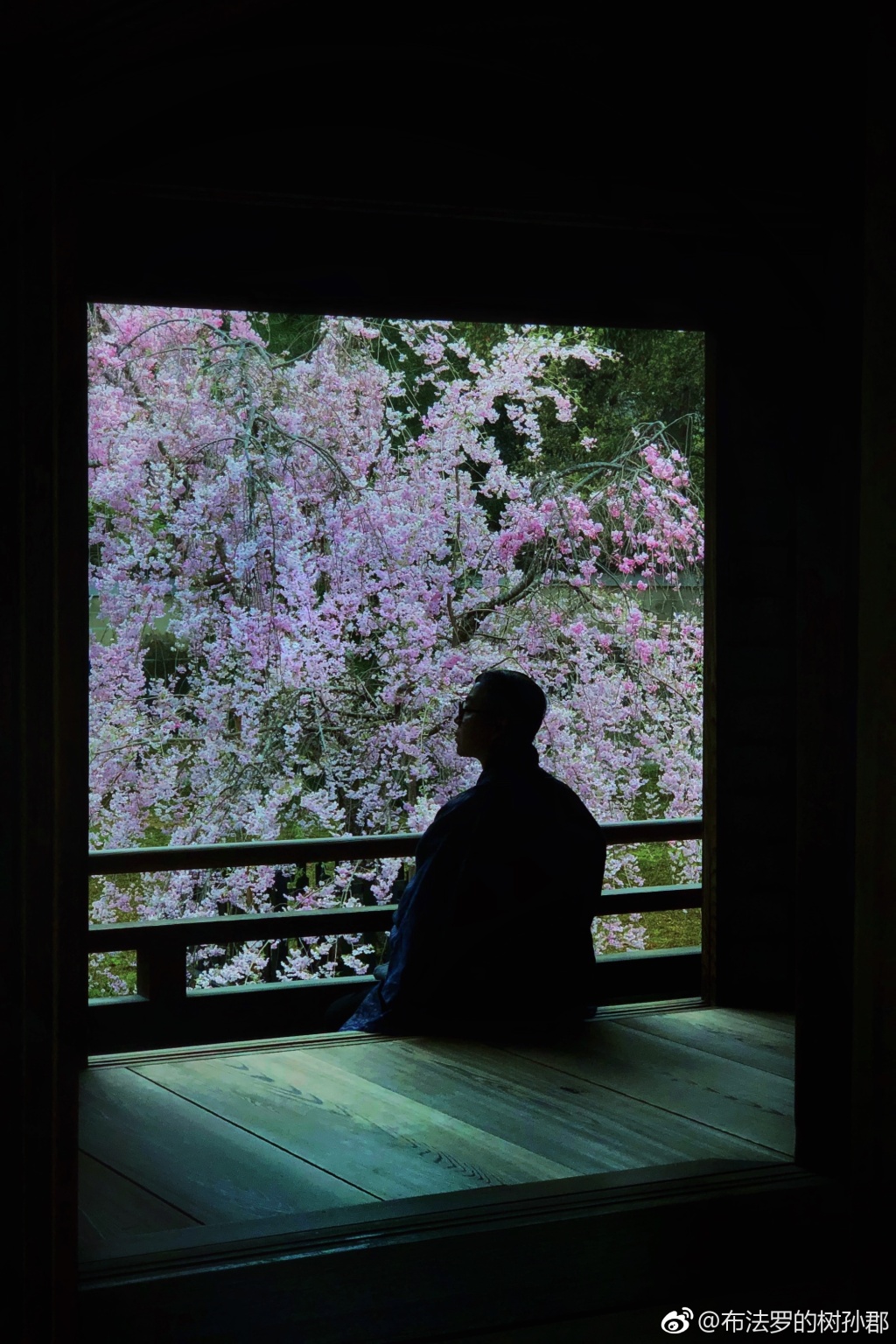 孙郡摄影工作室在哪(孙郡的摄影获奖作品) 孙郡摄影工作室在哪(孙郡的摄影获奖作品)