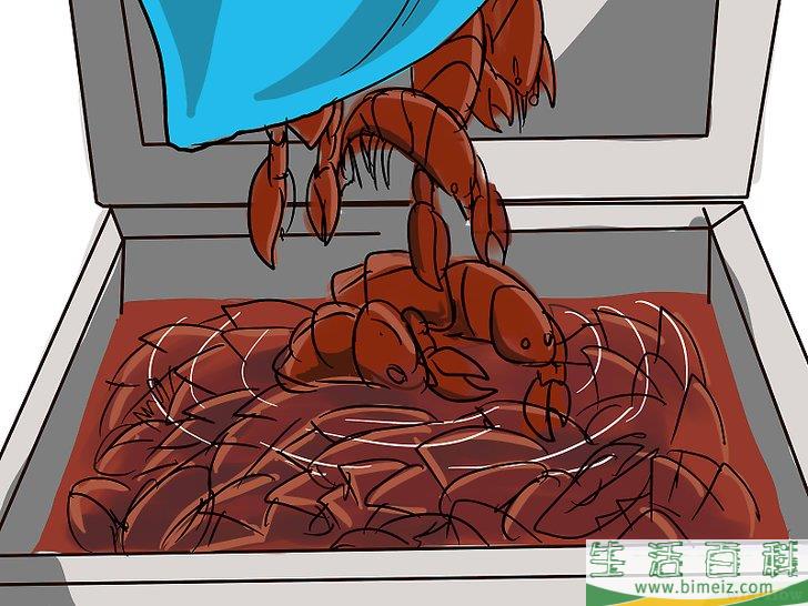 怎么清洗小龙虾(怎么清洗小龙虾尾又快又干净) 怎么清洗小龙虾(怎么清洗小龙虾尾又快又干净)