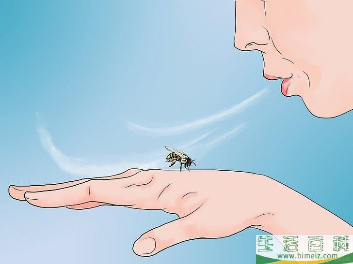 怎么运用生活小窍门(一些生活小窍门) 怎么运用生活小窍门(一些生活小窍门)