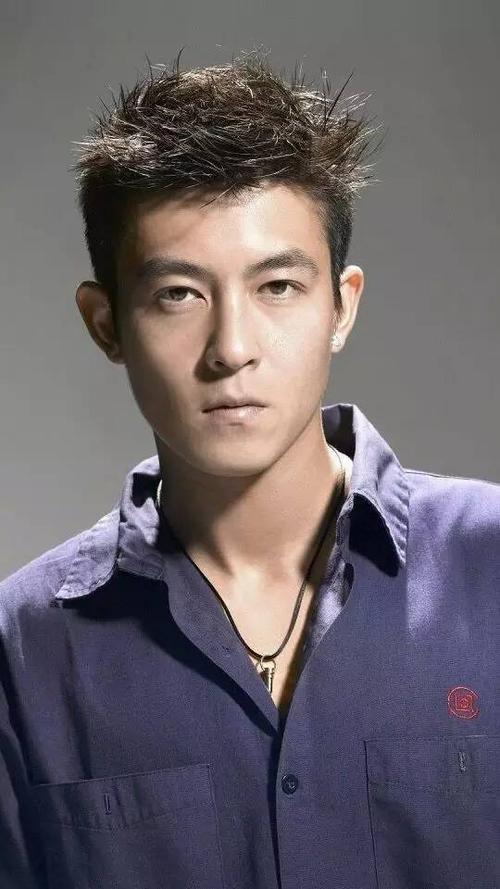 陈冠希简介,吴绮莉(吴绮莉的一生简历)