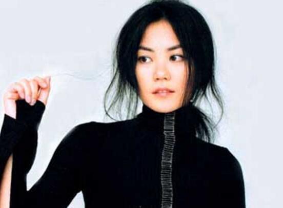 王菲婚史，王菲李亚鹏放飞蝴蝶(李亚鹏王菲婚姻)