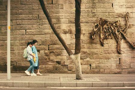 少年的你结局，少年的你结局细思极(少年的你最终结局是什么)