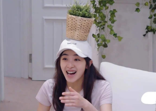 袁姗姗整容前照片，袁姗姗长得像石(袁姗姗长相奇怪)