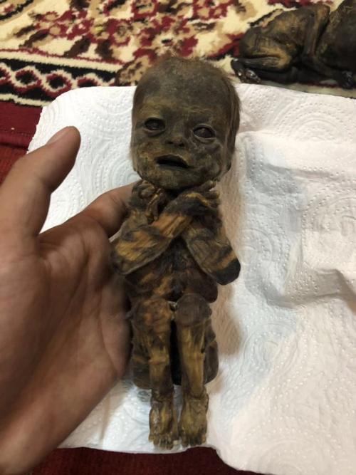 张柏芝养小鬼，好多明星在地狱(张柏芝小鬼转生)