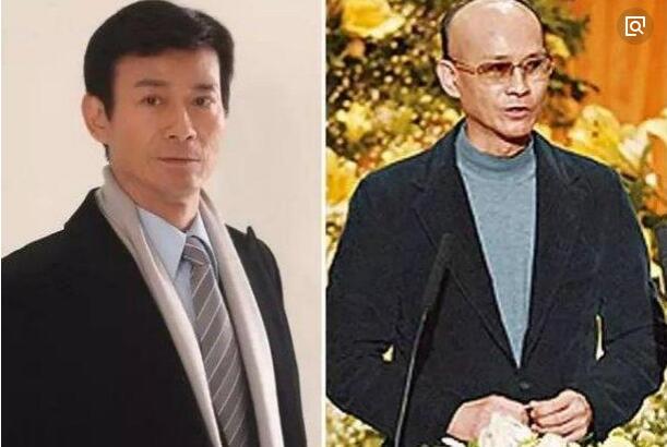 郑少秋假发看不出来假的是什么牌子的