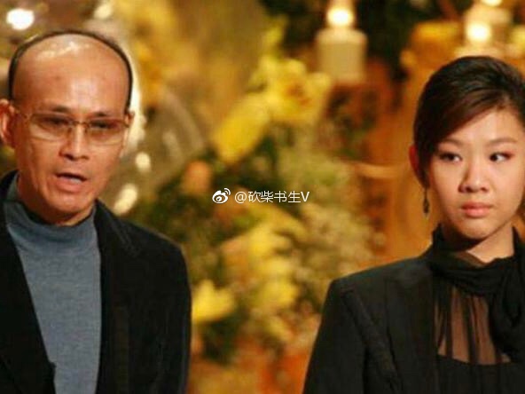 郑少秋假发看不出来假的是什么牌子的