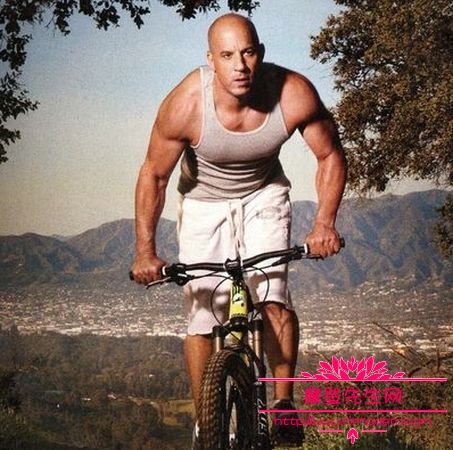 范·迪塞尔光头是脱发导致的吗?范迪塞尔性(范迪塞尔为什么没头发) 范·迪塞尔光头是脱发导致的吗?范迪塞尔性(范迪塞尔为什么没头发)