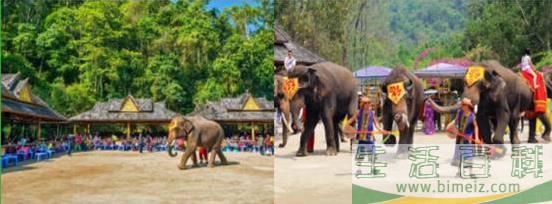 七彩游记西双版纳，意外前往缅甸小勐拉(西双版纳 游记)