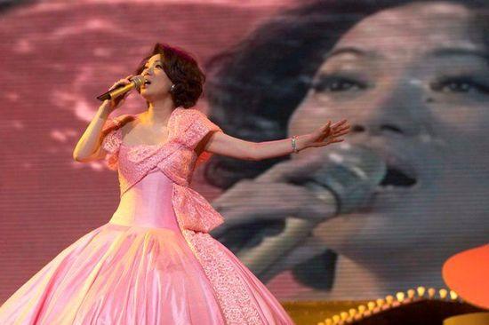 蔡琴简历，蔡琴把悲伤留给自己(蔡琴的人生简介)