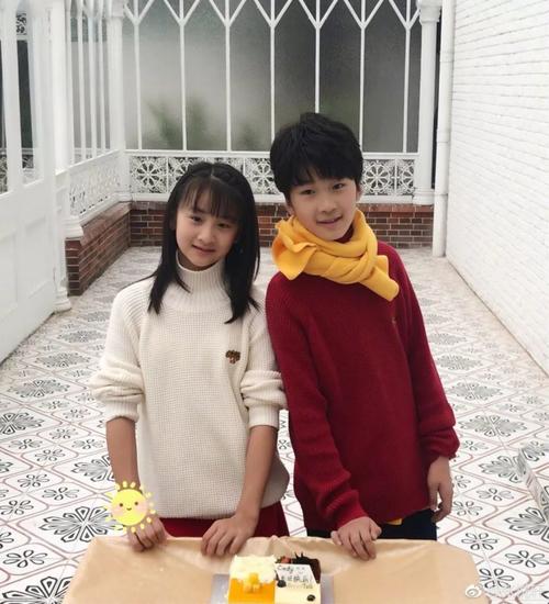 张悦轩田雨橙,佳偶天橙(佳偶天成田雨橙小说)