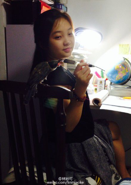 林妙可假唱事件后现状如何(林妙可假唱是她唱的吗)