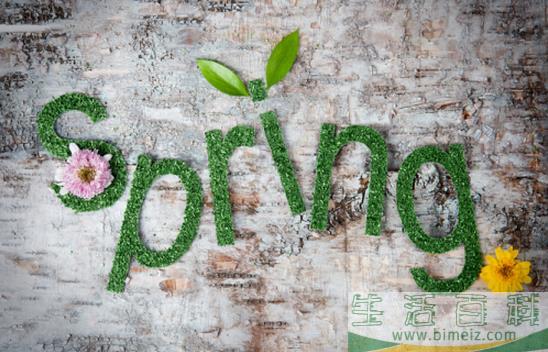 在这个春天拥抱你,|,领取这份春天的惊喜(与春天来个拥抱)