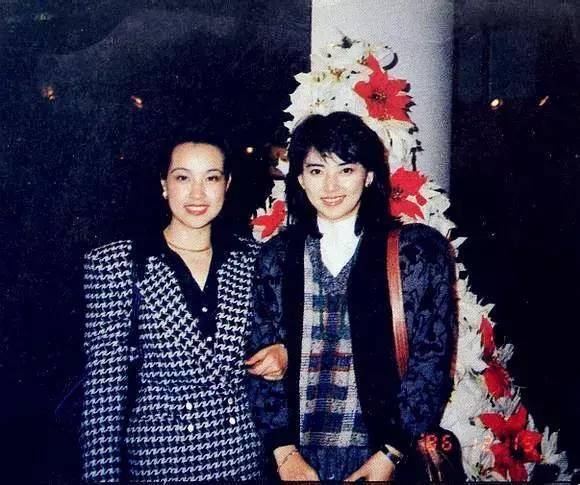 胡慧中老公，倪萍和倪大红(倪大红与倪萍的关系)