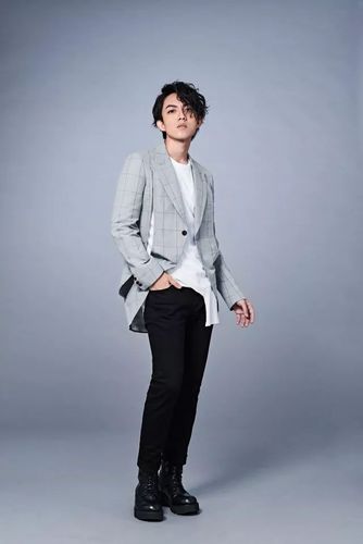 林宥嘉的资料，林宥嘉个人资料年龄(林宥嘉出生)