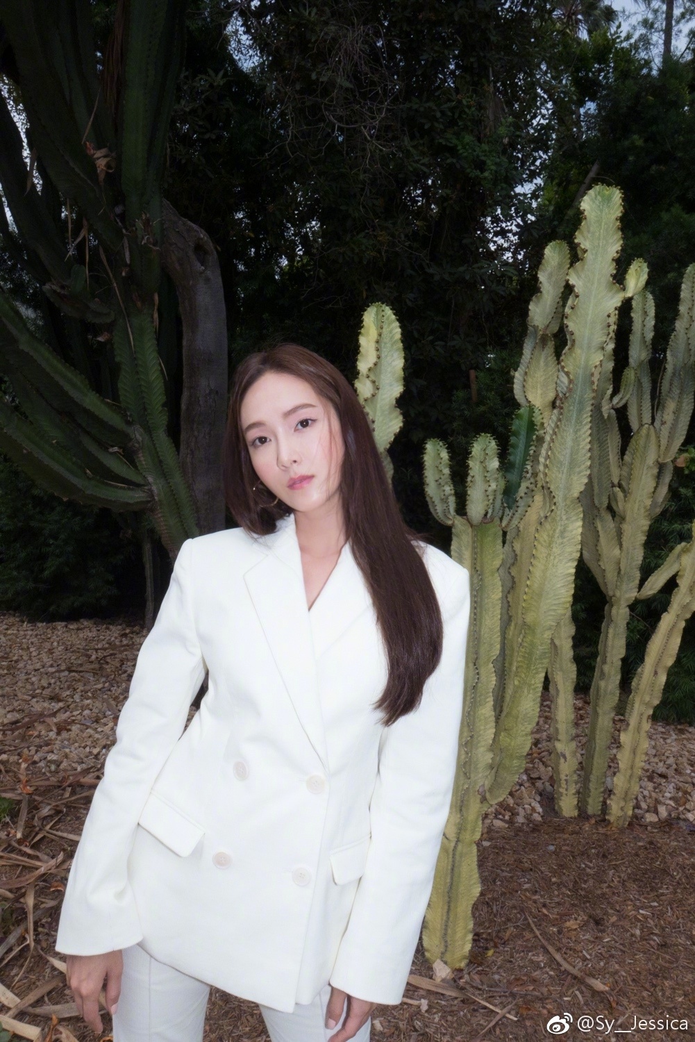 郑秀妍为什么叫总裁、冰山、大猫、卡皇、西