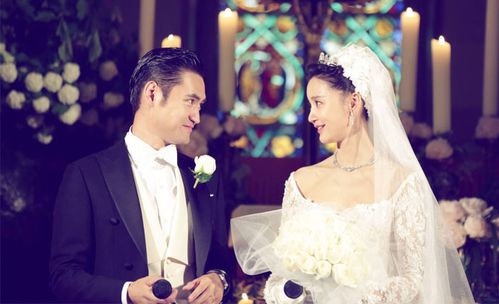 张歆艺离婚，杨树鹏张歆艺分手原因(张歆艺前任老公杨树鹏)