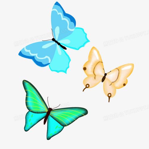 酒井法子蝴蝶纹身,日本歌姬纹身图(日本歌姬纹身图案 手臂) 酒井法子蝴蝶纹身,日本歌姬纹身图(日本歌姬纹身图案 手臂)