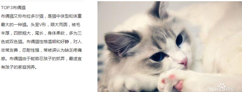 陆星材的猫为什么叫32？陆星材的猫是什么