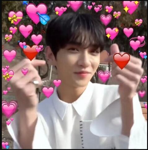 洪知秀家境情况怎么样(洪知秀多少岁)