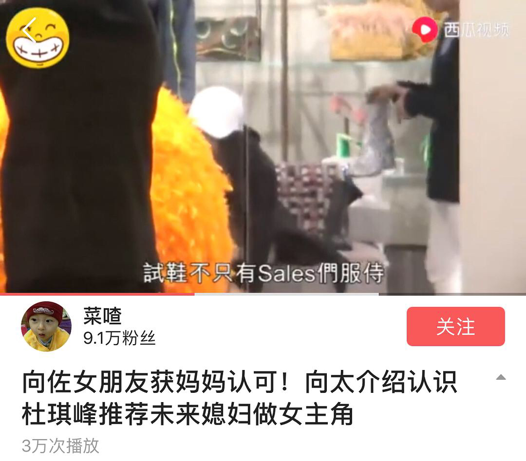 王可如向佐是什么关系情侣吗？向佐在哪儿学