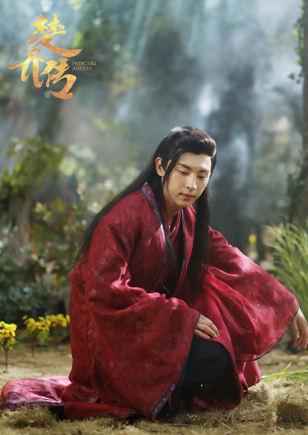 楚乔传寒山盟、谍纸天眼、秘府、往生营都有