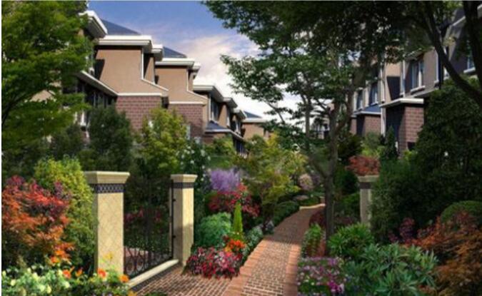 吕思清为什么不收徒弟教学生