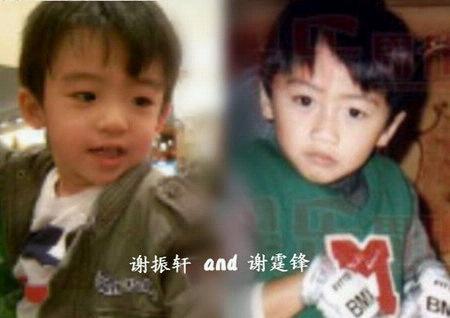 张柏芝大儿子dna鉴定？谢霆锋大儿子是谢(谢霆锋张柏芝亲子鉴定结果)