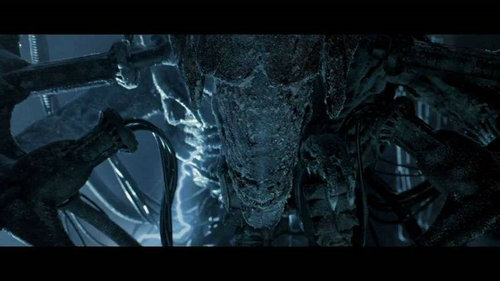 铁血战士是什么生物？铁血战士和异形有什么(异形和铁血战士是什么关系)