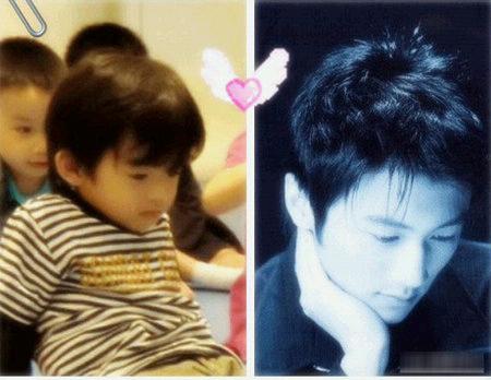 张柏芝大儿子dna鉴定？谢霆锋大儿子是谢(谢霆锋张柏芝亲子鉴定结果)