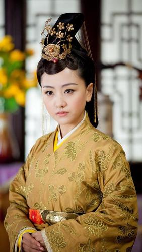 陆贞传奇演员表图片,陆贞传奇沈嘉(陆贞传奇沈碧扮演者)