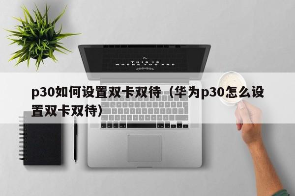p30如何设置双卡双待（华为p30怎么设置双卡双待） 