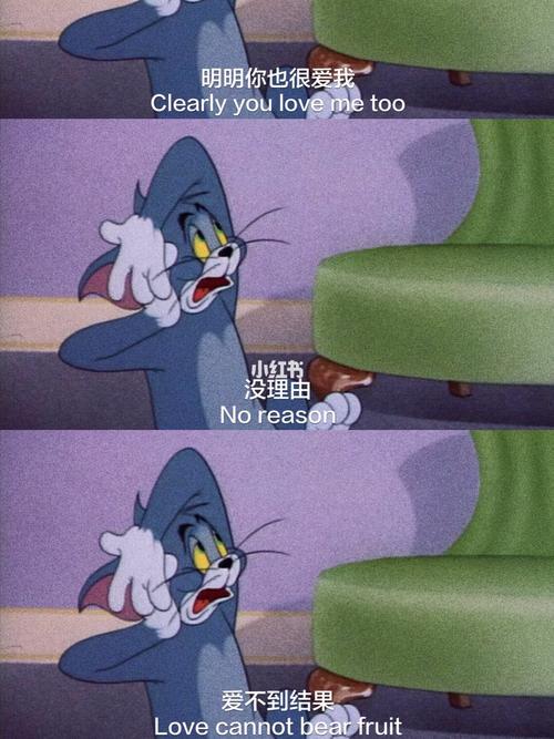 娱乐新闻tom,娱乐新闻台(娱乐资讯电台)