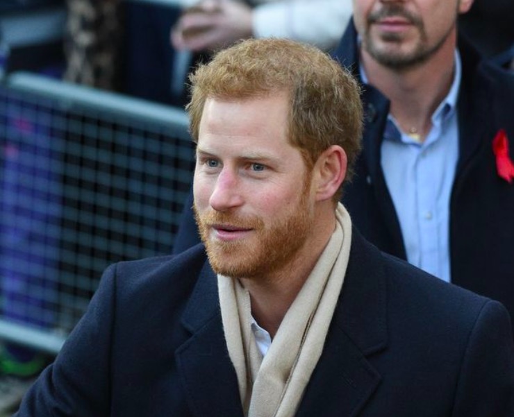 哈里王子为什么没有秃顶？哈里王子是亲生的