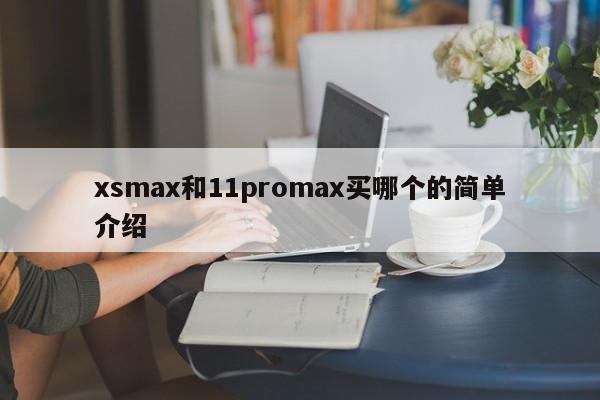 xsmax和11promax买哪个的简单介绍