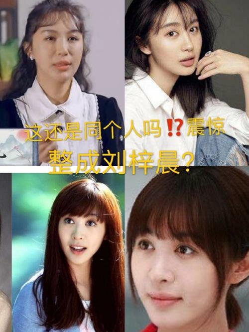 李菲儿整容前后，李菲儿不漂亮(李菲儿整容了)