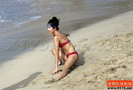 章子怡沙滩高清图片 章子怡沙滩高清图片