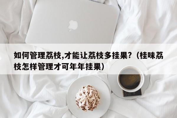 如何管理荔枝,才能让荔枝多挂果?(桂味荔枝怎样管理才可年年挂果)